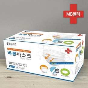 맑은하루 바른마스크 개별포장 화이트 대형 30p, 1개