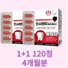 잇몸건강 인사덴티 케어 플러스 1450mg x 120정2세트 4개월분, 120정