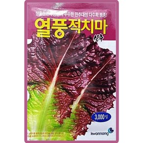 열풍적치마 상추 씨앗 3000립 만추대성 상추씨 종자, 1개