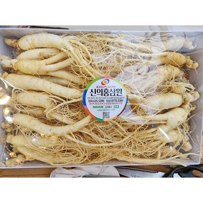 풍기인삼 6년근 못난이세척삼 750g 삼계탕용 쥬스용