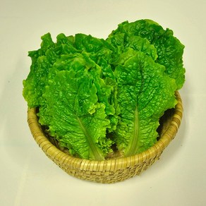 바르다야채 싱싱한 청상추 1kg 2kg (청상추), 1개