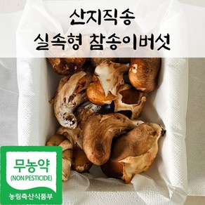 국내산 친환경 참송이 버섯 실속형 가정용