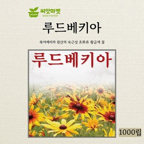 다농 루드베키아 씨앗 1000립, 1개