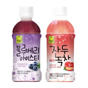 웰그린 블루베리아이스티10개+자두녹차10개 340ml 20개