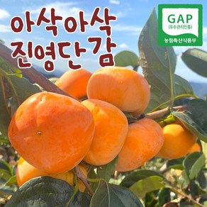 진영 단감 1KG 2.5KG 5KG