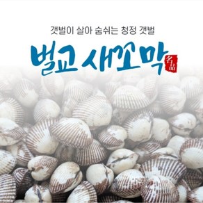 꼬막 전국최저가(노마진) 중+대 소량판매 청정갯벌 벌교꼬막 + 특품 산지직송, 1박스, 5kg(중+대)