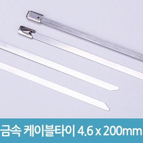 에버마켓 배선정리 금속 케이블타이 4.6mm x 200mm, 10개