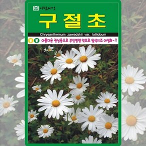 아람종묘 구절초 씨앗 1000립 구절초 꽃씨 야생화 종자, 1개