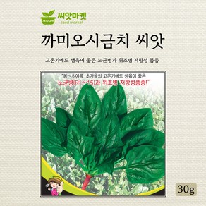 세계종묘 까미오시금치 씨앗 30g, 1개