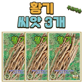 씨앗팜 황기씨앗 3개(3gx3) 민속채 약초 씨앗, 3개