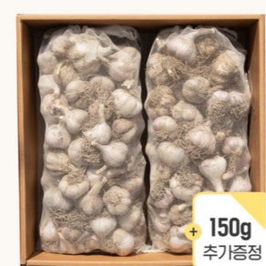 플러스 경북 의성 육쪽 마늘 햇마늘 3kg 특, 1개, 1.5kg