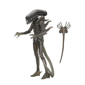 NECA Alien 40주년 기념 17.8cm7인치 스케일 기거 액션 피규어 141804, NECA Alien 40주년 기념 17.8cm7인치 스