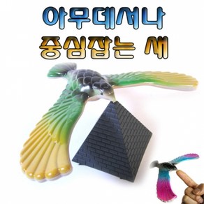 무게중심잡는 새