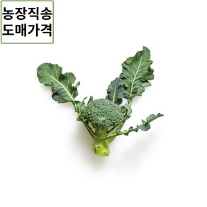 제주 햇 브로콜리 3kg 8개입, 1개