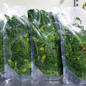 올바른새움푸드 국산100% 농가수제 비타민이 풍부한 데친엄나무두릅, 250g, 1개