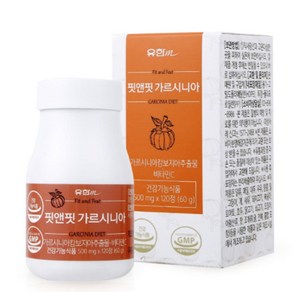 유한메디카 핏앤핏 가르시니아 다이어트 500mg x 120정, 1개