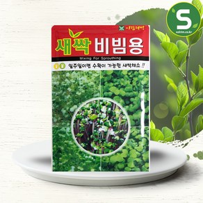 솔림텃밭몰 새싹비빔용씨앗 30g 새싹비빔용 새싹채소 전용씨앗