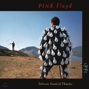 [CD] Pink Floyd (핑크 플로이드) - Delicate Sound Of Thunde (Live) : 1988년 라이브 실황 앨범