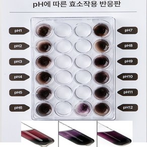 탄수화물(녹말)이 온도와 pH에 따른 효소의 활성실험 (2인1조/4인1조) aco-a40, 1개