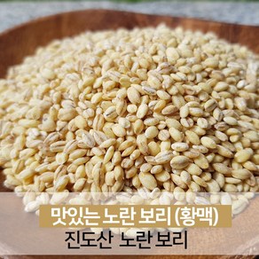 진도 노란보리 찰보리 햇곡 잡곡쌀 1kg [23년산 출하]