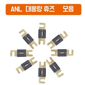 ANL 휴즈 퓨즈 400 300 350 200 250 150 100 50 80A