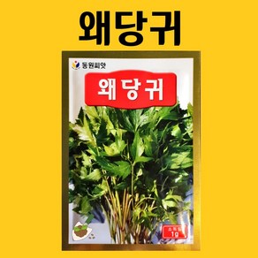 농사친구 왜당귀 1g 씨앗 동원 씨 종자 쪽파 고사리 명이나물 산상추 초당옥수수 항암배추 담배 산마늘 아스파라거스 고수, 1개