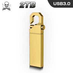 USB 3.0 펜 드라이브 2TB 디스크 플래시 Pendive 1TB -C 어댑터 방수 미니 U, 07 Tige Golden