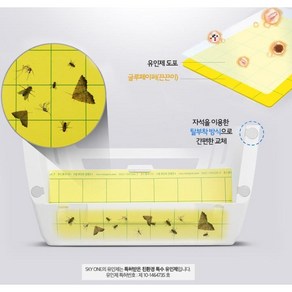 스카이원 글루페이퍼 스카이에프 소모품 끈끈이, 1개