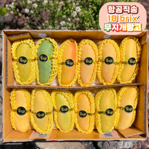 고당도 항공직송 무지개망고 마하차녹 태국망고, 1개, 2kg(4-7과)