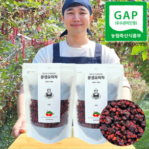 반듯한청년 GAP인증 문경건오미자 국산 햇 말린 세척, 200g, 2개, 1개입