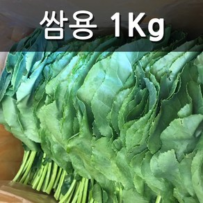 친환경 유기농 케일 쌈용 즙용, 쌈용 1kg, 1개