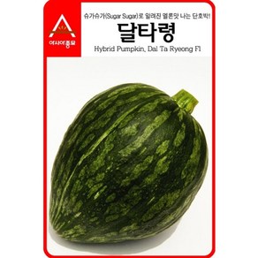 호박씨앗 관상용 달타령호박 10립 종자, 1개