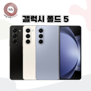 삼성전자 갤럭시 Z폴드5 리퍼급 공기계 SM-F946 256GB, 그레이