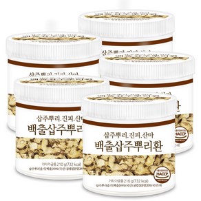 푸른들판 백출환 삽주뿌리환 haccp 인증, 210g, 5개