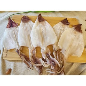 [웅이네] 한치 500g 반건조 우윳빛 부드러운 AAA급 10마리 15마리 20마리