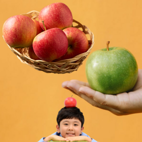 유기농 사과 / 저탄소 일반사과 껍질째 먹는 못난이 흠과, 2kg 중과, GAP인증 일반 사과 (세척), 1개