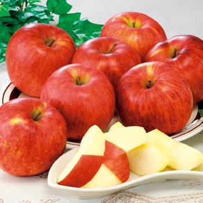 [제철제맛] 농부의정성 가정용 부사 사과, 1세트, 1kg