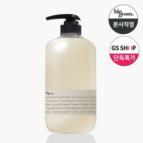 빅그린 23 샴푸 안젤리카 1000ml/ 민감성 두피, 1L, 1개