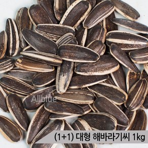 (1+1) 올블루 대형 해바라기씨 1kg 중대형 앵무새, 2개