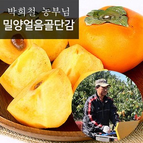 [참다올] 밀양얼음골 제철 단감 특대과10kg(34-40과), 1개