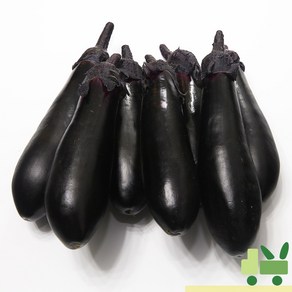 사라상회 가지 1Kg (특), 1개