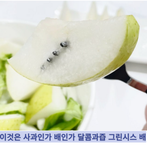 [국내산] 청량하고 과즙팡팡 신품종 사과같은 황금배 바틀렛 그린시스 배, 1개, 3kg