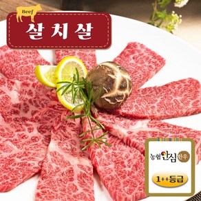 [농협안심한우] 투뿔(1++) 한우 살치살 400g  구이용, 1개