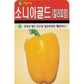 소니아 골드 참외 씨앗 (10립), 1개