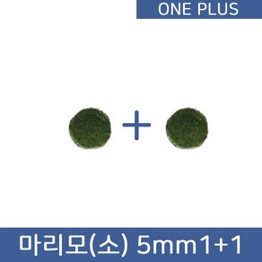 [원플러스 특가] 마리모 단품 소 5mm (1+1), 1세트