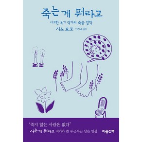 죽는 게 뭐라고:시크한 독거 작가의 죽음 철학