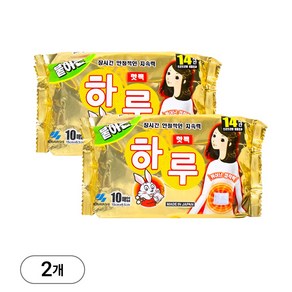 고바야시 붙이는 하루 핫팩 10매입, 2개