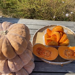 간편하게 먹는 호박채 손질 늙은호박 1Kg 국산 남원농장