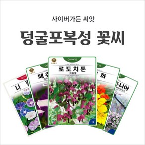 덩굴포복성 꽃씨