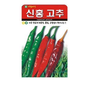 SN월드 씨앗 열매채소 과일채소 모음, 신홍고추